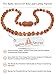 Baltic Amber Teething Necklace, 50% Richer and More Effective, Raw Unpolished Amber Beads - Extra Safe Lab Tested & Certified, Teething Pain & Drooling Reduce Properties /DCGN.U-BRQ / 29.5CM / 11.6IN