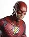 Rubies Costume Co. Men's Justice League Flash Overhead Latex Mask