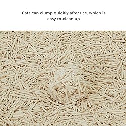 Bluerise Tofu Cat Litter 6LB*4 Tofu Litter