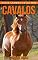 Livro Cavalos: Fotos Incríveis e Factos Divertidos sobre Cavalos para Crianças (Série Lembra-Te De Mim)
