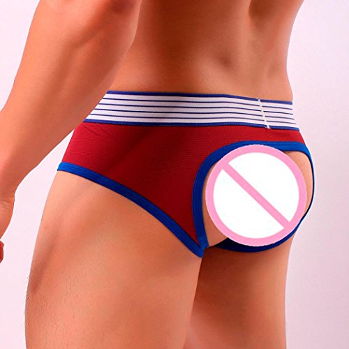 5 PCS Mens Underwear,Leedford Hollow Out Low-Rise Bulge Pouch Soft Brief Underpants (M, multicolored)