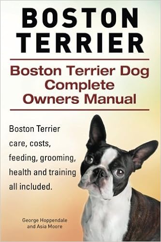 Boston Terrier. Boston Terrier Dog Complete Owners Manual. Boston Terrier care, costs, feeding, grooming, �y�[�p�[�o�b�N  - 2015/4/8