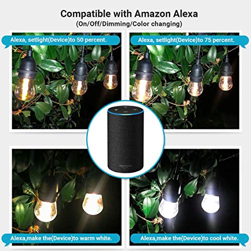 FOXLUX Outdoor String Lights - 48FT Dimmable Smart Outdoor Lights, S14 Plastic Shatterproof and Waterproof LED Lighting, 24 Hanging Sockets, WiFi Control(iOS & Android), Compatible with Amazon Alexa