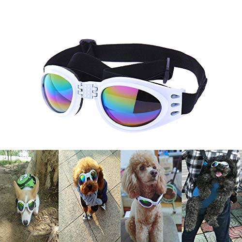 5 Best Dog Sunglasses [2019 Reviews] Keep Your Pup Stylin' and Safe!