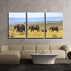 3 Piece Canvas Wall Art - Elephant Family on The Vast Grassland - Modern Home Art Stretched and Framed Ready to Hang - 16"x24"x3 Panels