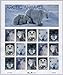 Arctic Animals Collectible 33 Cent Stamp Sheet of Fifteen Scott 3288-92