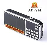 Ohala Mini Portable Am/Fm Radio Mp3 Music Player Speaker Support Micro Sd/tf Card (black)