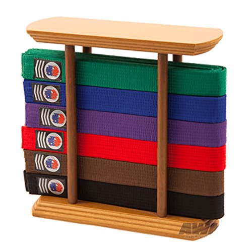Martial Arts Belt Display Free Standing Rack Stand for Karate Taekwondo Belts - 6 or 10 Level (6 Level)