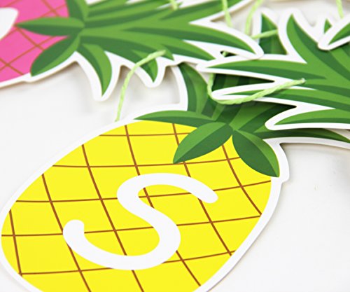 SUNBEAUTY 1.5m Colorful Summer Pineapple Banner Luau Tiki Party Supplies Hawaiian Theme Decor