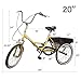Hiram Adult Tricycle Trike Cruise Bike Three-Wheeled Bicycle with Large Size Basket for Recreation, Shopping, Exercise Men’s Women’s Bike (20inch/Yellow)thumb 1