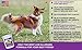 #1 Premium Antarctic Krill Oil Soft Chews for Dogs | Rich in Omega 3 | Astaxanthin | Vitamin E | for Skin and Coat | Low Allergen | Low Calorie | cGMP Certified | Made in USA | 60 Savory Soft Chews
