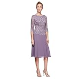Alex Evenings Women's Tea Length Embroidered Bodice