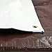 Heavy Duty Tarps Waterproof 12mil - Reversible White Brown vinyl Tarp - 12x20 with UV protection for outdoor camping RV Truck and trailers