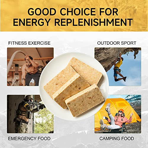 DAYZOB FOOD RATIONS, EMERGENCY FOOD RATIONS, SCALLIONS FLAVOR RATIONS EMERGENCY 5800 CALORIES SURVIVAL RATIONS FOR DISASTER KITS 1200G