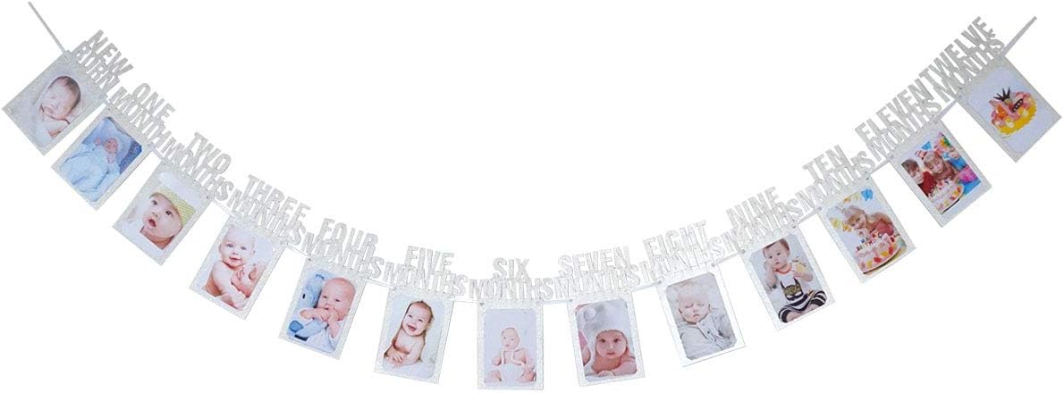 Monthly Baby Photo Banner Glitter for Newborn to 12 Months,Great for 1 Year Old Celebration, Monthly Milestone Photograph Bunting Garland,Baby Shower Gift Silver