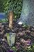 Joseph Bentley Traditional Garden Tools Stainless Steel Transplanting Trowel