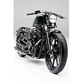 JBSporty ♤ Compatible with Harley Davidson Sportster ♤ Black Out Vinyl Decal Fork Kit Bonus Extra 2 Sheets ♤ Iron 72 Nightster Custom (No 48)