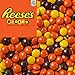 Reese's Pieces - Bulk Wholesale (5 Pounds)