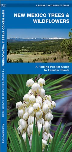 New Mexico Trees & Wildflowers: A Folding Pocket Guide to Familiar Species (Pocket Naturalist Guide Series)