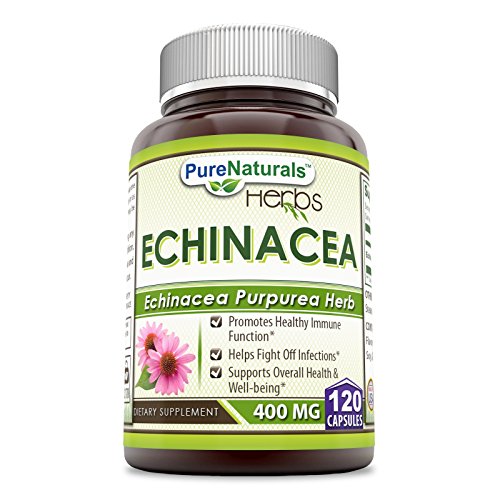 Pure Naturals Echinacea Supplement, 400mg Capsules - Made from Pure Echinacea Purpurea Root and Plant Extract Powder - Promotes Healthy Immune Function & Helps Fight Off Infections (120 Count) Pure Naturals Echinacea Supplement, 400mg Capsules - Made from Pure Echinacea Purpurea Root and Plant Extract Powder - Promotes Healthy Immune Function & Helps Fight Off Infections (120 Count)