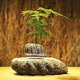 Japanese style Levitating Air Bonsai Pot -...
