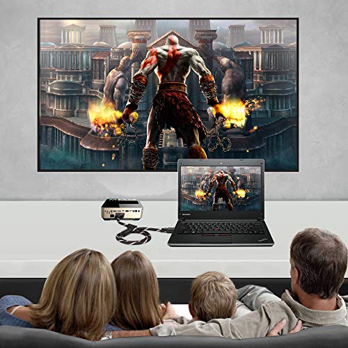 DVI Cable 30Ft,Tan QY Nylon Braided DVI-D 24+1 Dual Link Male to Male Digital Video Cable Gold Plated with Ferrite Core Support 2560x1600 for Gaming, DVD, Laptop, HDTV and Projector (10M/30Ft)