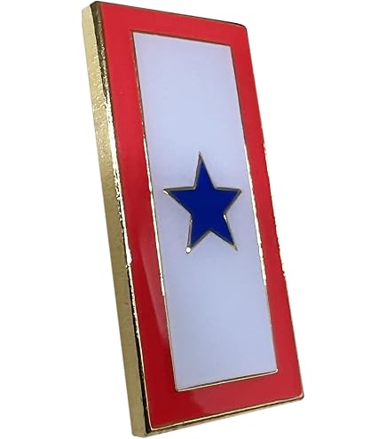 Pine Pines Pin Badge Pin-apos;s Metal Broche Flag USA USA 48 Stars SE