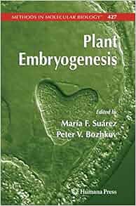 Plant Embryogenesis Methods In Molecular Biology Maria