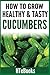 How To Grow Healthy & Tasty Cucumbers: Quick Start Guide by HTeBooks