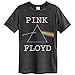 Pink Floyd Men's Dark Side Of The Moon Slim Fit T-shirt Medium Black
