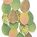 Cute Tree Leaf Sticky Notes/Paper Memo Self-Adhesive Notes, 3.93