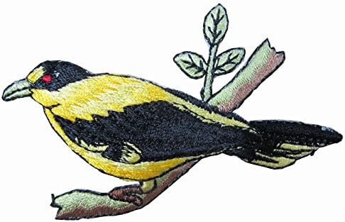 #4312 2-3/4" Oriolus Bird,Tropical Bird Embroidery Iron On Appliqué Patch