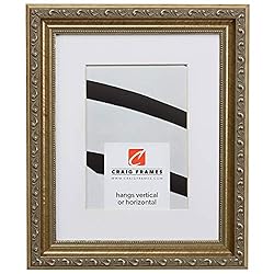 Craig Frames Ancien Ornate, 20 x 30 Inch Antique