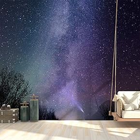 Wall Mural Starry Sky Removable Self-Adhesive Large Wallpaper - 66x96 inches