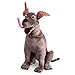Disney Dante Plush Figure - Coco