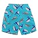 i play. by green sprouts Swim Trunks with Built-in Reusable Swim Diaper | Baby Boy Swimsuit | Lightweight, Patented Design