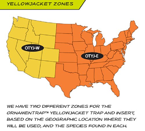 RESCUE! Non-Toxic Yellowjacket Ornamentrap, East of The Rockies