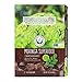 Kuli Kuli Moringa SuperFood Energy Bar, Dark Chocolate, 1.6 Ounce Bars (Box of 12) Vegan and Gluten-Free Energy Bar, Contains Half a Cup of Leafy Greens, Chia Seeds, Convenient Snack Barthumb 2