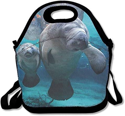 Bahuluo Polyester Lunch Tote Bag | Lightweight | Washable | Resuable | (Print Ocen Animal)