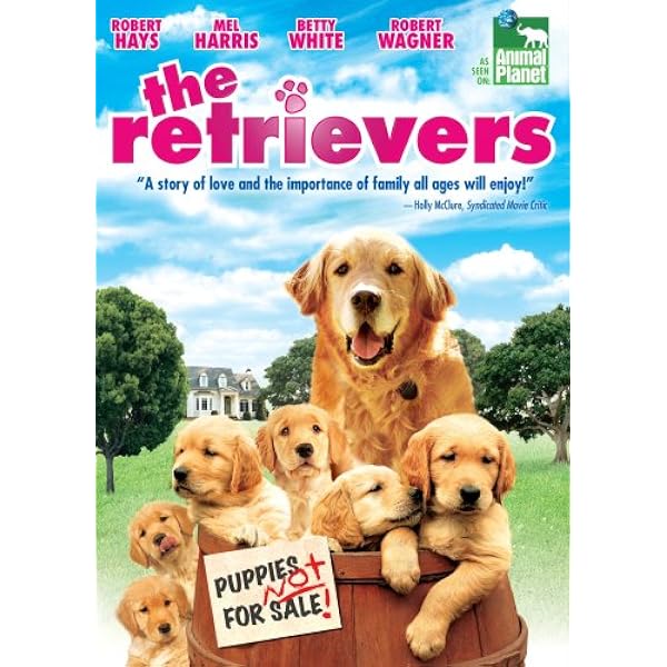 Amazon.com: Dog Days [DVD] : Movies & TV