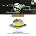 800 Lumen LED Dive Light Rechargeable PFSN Professional Scuba Diving Flashlight Underwater 50m Waterproof Best for Expert Diving at Night Snorkeling Caving Fishing(18650 Battery and Charger Included)