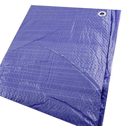Erickson 57001 Blue Economy Poly Tarp, 8' x 10', 1 Pack