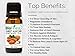 Biofinest Sweet Almond Organic Oil - 100% Pure Cold-Pressed - Premium Quality - Best Moisturizer - Vitamin A/E/K - Remove Dark Circles/Fine lines - Anti-aging - FREE E-Book (10ml)