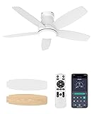BWGZH Ceiling Fans with Lights and Remote