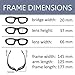 OWL - Padded Riding Glasses - Clear Lens (3 Pack)