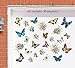 Collections Etc Butterflies And Flowers Garage Door Magnets Set