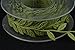 Fowod Leaf Ribbon, 17 Yard / 50 Feet Roll, 1 inch Width, Green