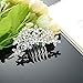 Gentlecarin Vintage Bling Crystal Hair Comb for Women Princess Luxury Style (Y0N7)