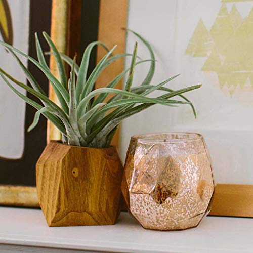 Bridgewater Candle Sweet Grace Collection Candle #011 - Thumbnail 2