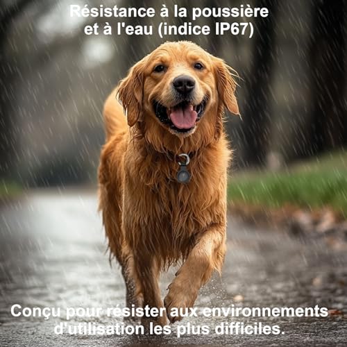 Collare GPS Gatto,GPS per Cani Supporta Sia I Sistemi iOS che Android, Localizzatore GPS per Cani in Tempo, Batteria A Lunga Durata, Localizzatore per Animali Domestici Impermeabile-Nero